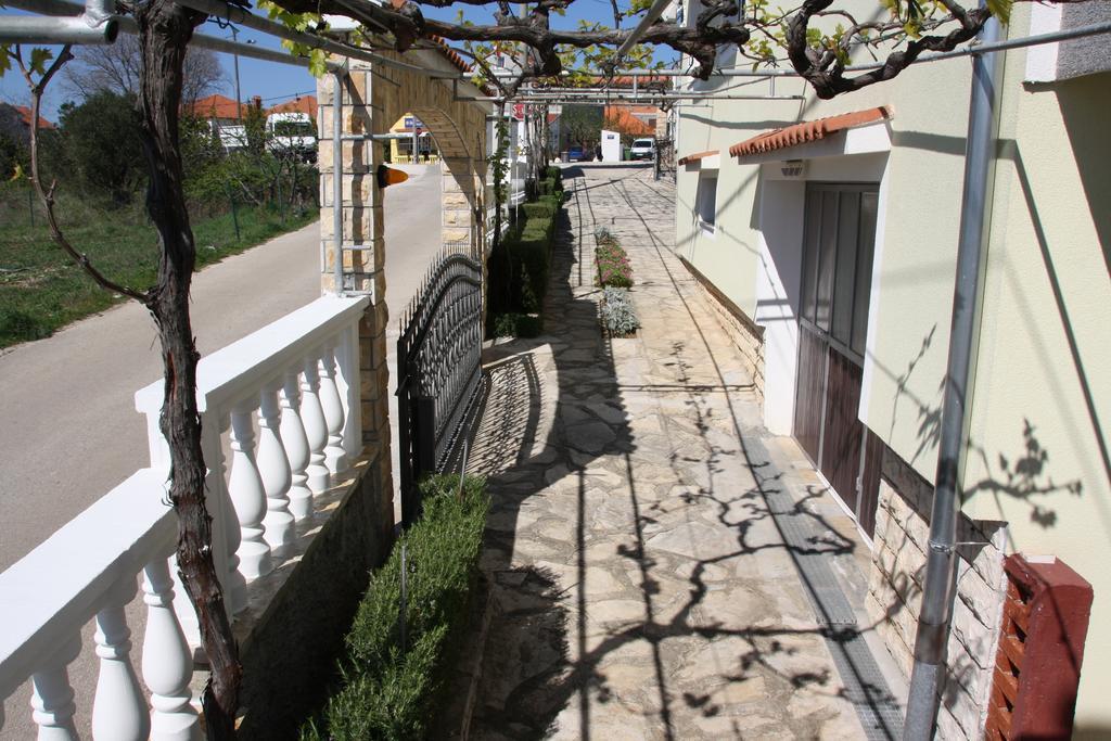 Cilas * Zadar